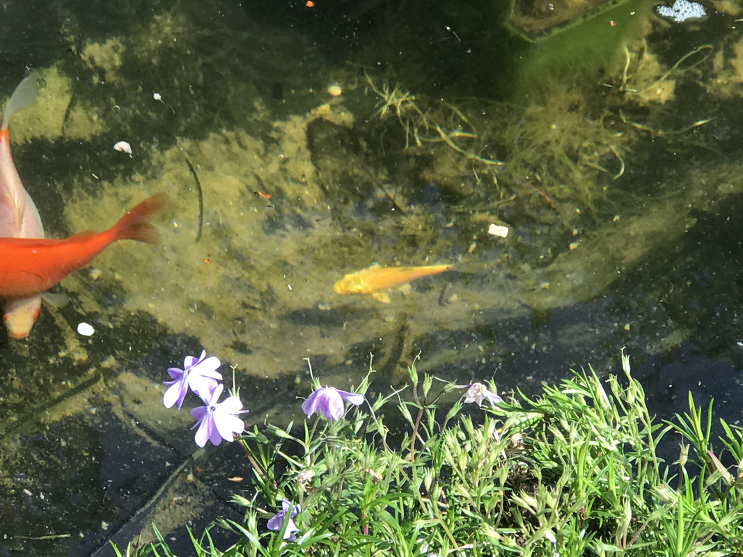 0B2FF06F-EEAA-46DE-9F6D-DE13565F9E49