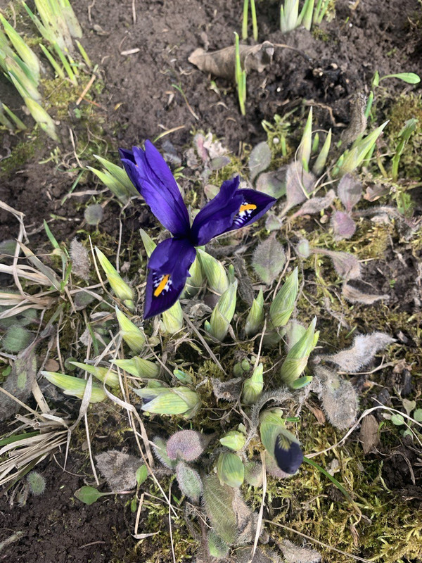 IMG_20250329_191209_355