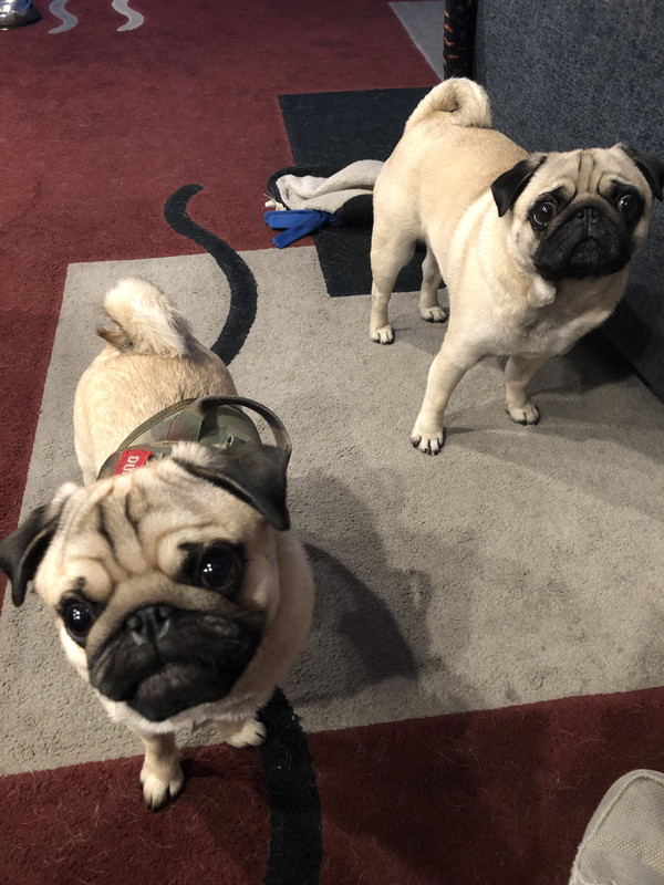 DA941986-4D8E-4FAA-92EB-34B208F43C19