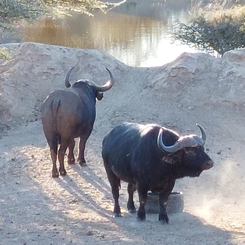 08B34FAF-8D0B-4070-8594-A8C61C9C96CC