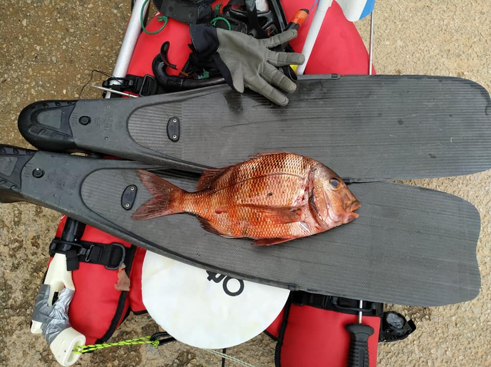 279087048_10225899020998389_7661667214108202839_n