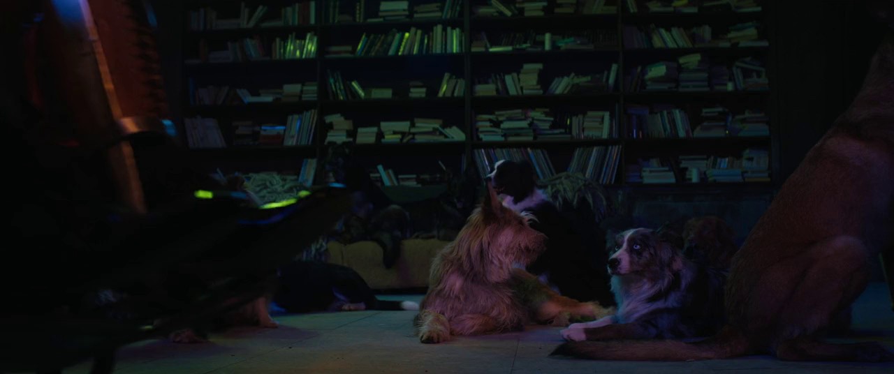 Dog-Man-2023-Blu-Ray-Hin-Eng-Tam-Tel-720p-8bit-x264-AVC-AAC-2-0-mkv-0005
