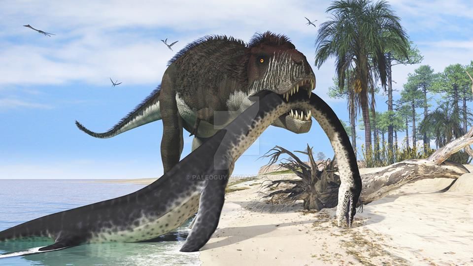 f05b0460f8e724ab30718a074260a48b