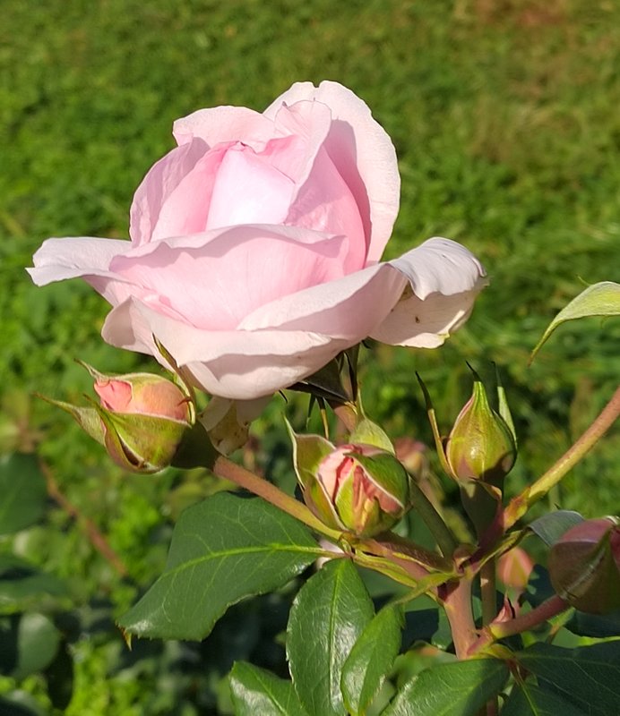 https://i.postimg.cc/L8XGk47b/018-IMG-20240918-115334-edit-281555210938947.jpg