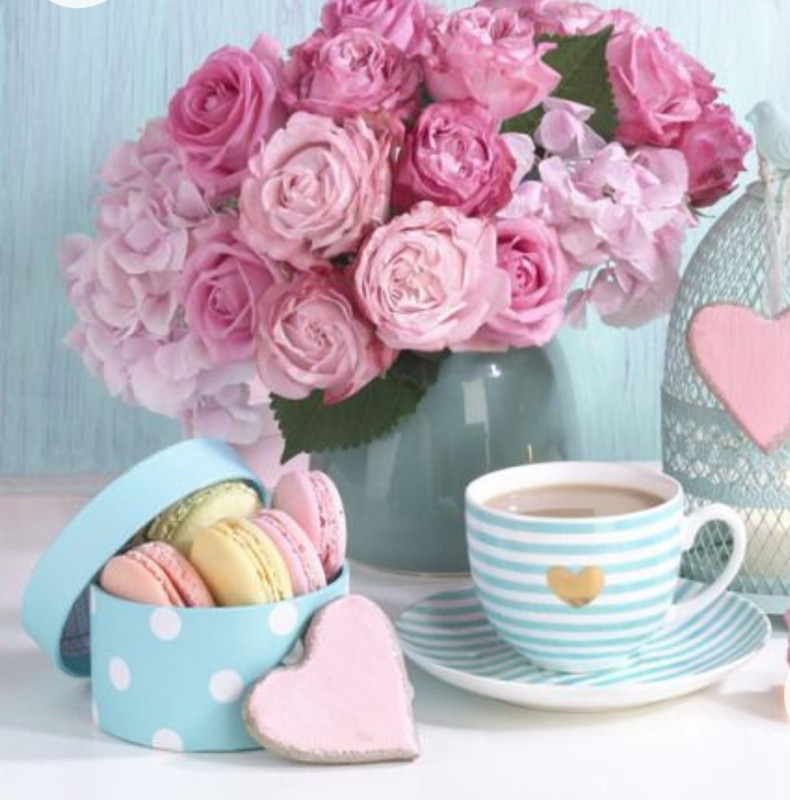 Screenshot_20230211_011319_Chrome