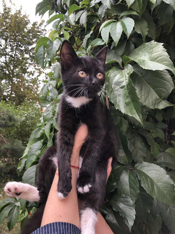 D95F82D0-0299-4AC2-AD96-5527D0E3FA12