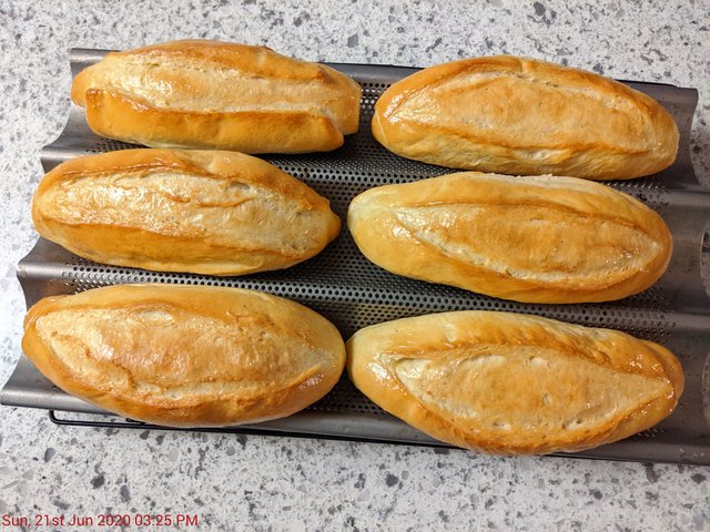 [Image: IMG-20200621-152525.jpg]