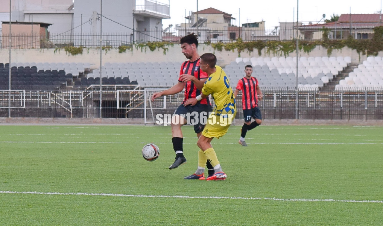 sp-panthou-panax-2-11-20250907