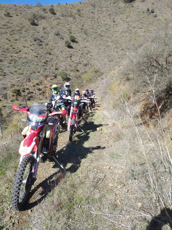 1cea6295-a9c2-4bb0-a798-8d09e8aa1eea