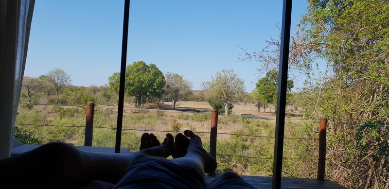 DÍA 12: SABI SAND (Elephant Plains Game Lodge) - Sudáfrica y Seychelles 2018 - Una Honeymoon llena de vida (18)