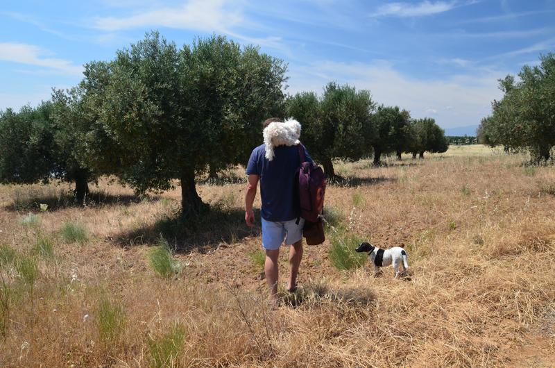 EXTREMADURA Y SUS PUEBLOS -2010-2023 - Blogs de España - EMBALSE DE VALDECAÑAS-2019/2023 (6)