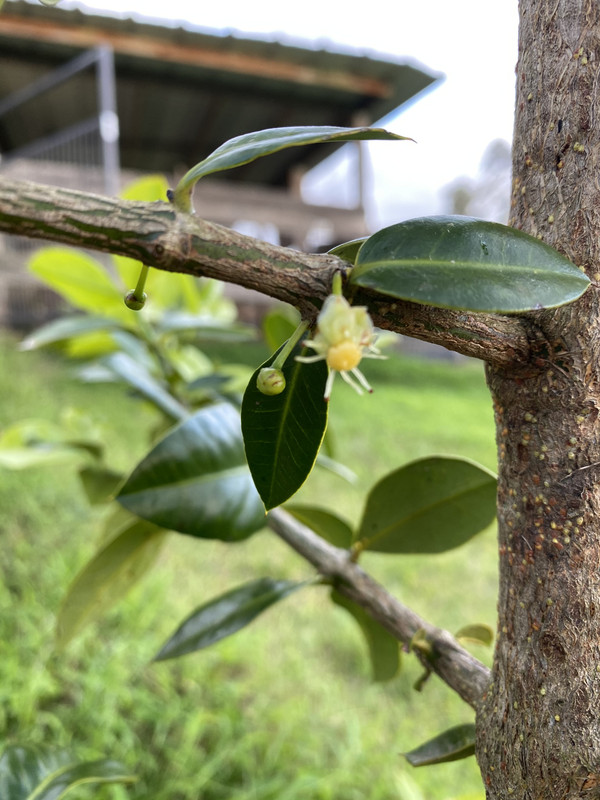 8E6C4DFF-36BC-421E-B642-86A5A984464D