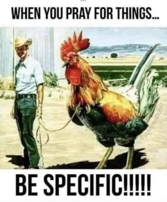 [Image: Specc.jpg]