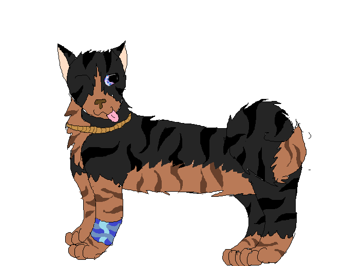 Striped-akita.png