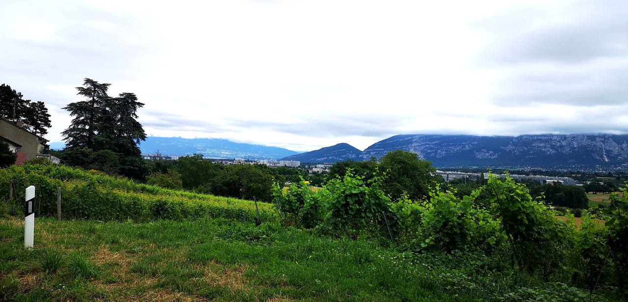 IMG_20240707_212615_edit_779938910123176