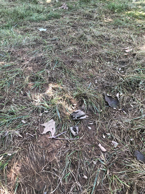 B7176535-6CBD-4B3B-9570-AD0D40C0F9F3