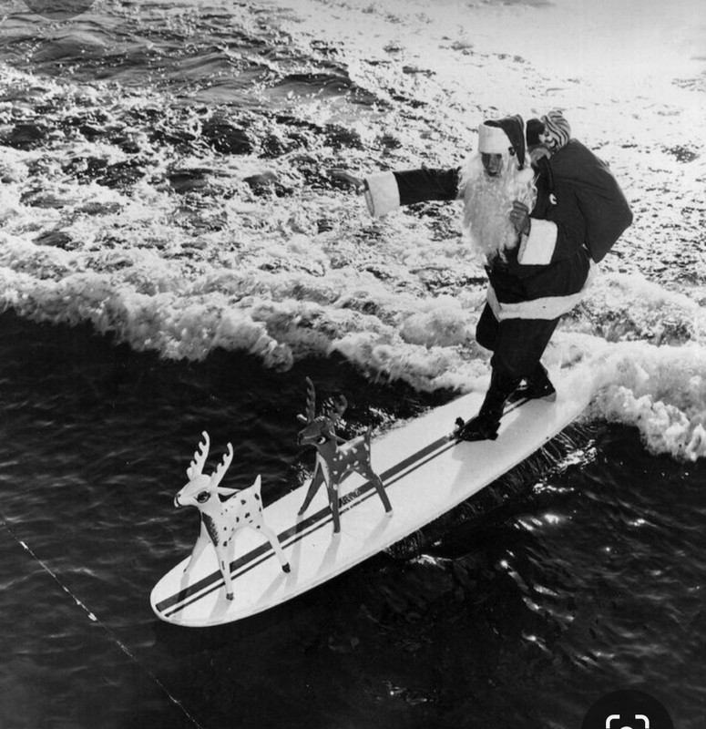 Screenshot_20231201_232143_Pinterest