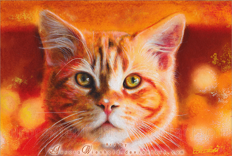 23-i-m-watching-you-by-aurorawienhold-d4ly89l