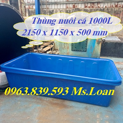 Thùng nuôi cá chữ nhật 1000L, thùng nhựa chữ nhật nuôi cá koi cảnh / 0963.839.593 Ms.Loan Be-nhua-1000lit-nuoi-ca-1