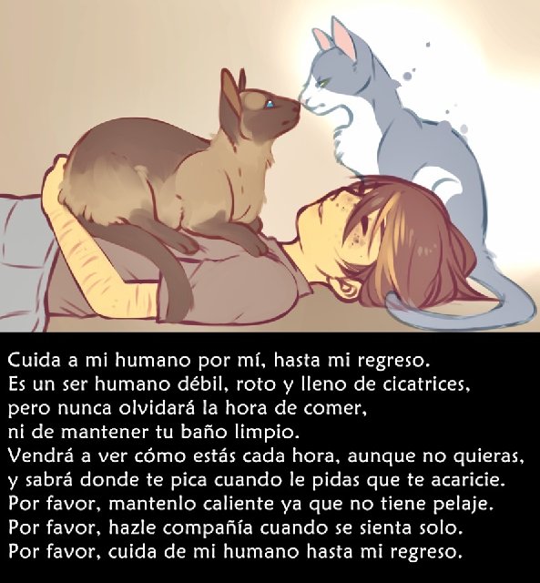 [Imagen: 12496059-1046028368752354-9072765789375748704-o.jpg]
