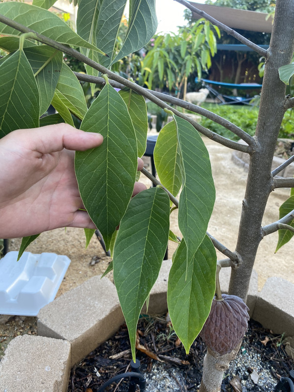 F14119BB-F837-4596-A283-261638FDFC21