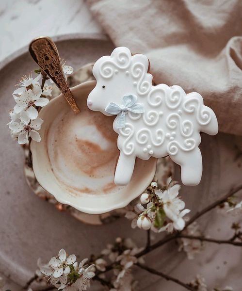 340171502_570774588375041_3013229743496913361_n