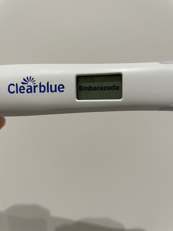 83A5610C-75F2-41C8-95A5-1C4BE4EE0FFE