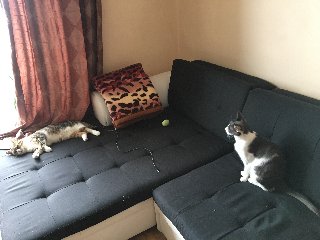 54378-FFC-1-D09-41-B9-8313-D47-B8-FB9-E4