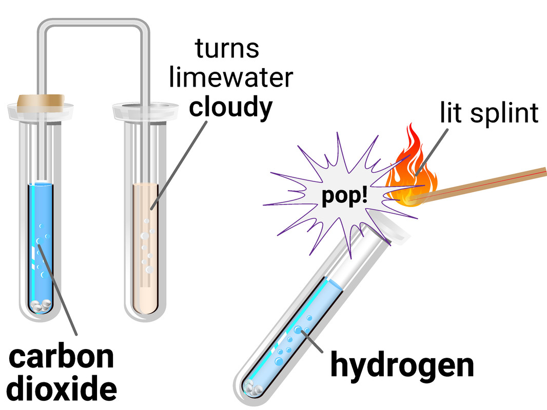 Testing for Gases: hydrogen and carbon dioxide