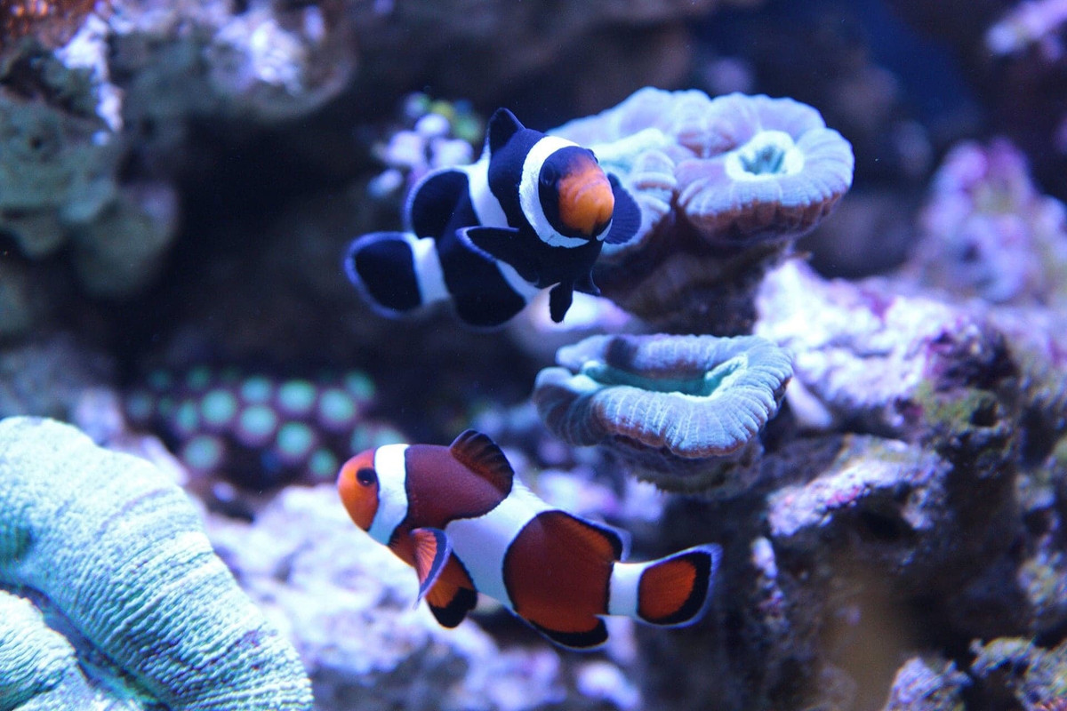 A2E2D516-8E54-496C-B539-5B87FF77710A