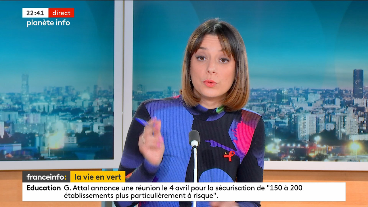 Planète info (Franceinfo)_2024_03_21_20_53_27.ts_snapshot_00.48.37.705