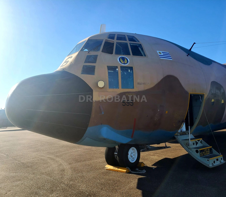 FUERZA AÉREA DE URUGUAY (FAU) - Página 33 595