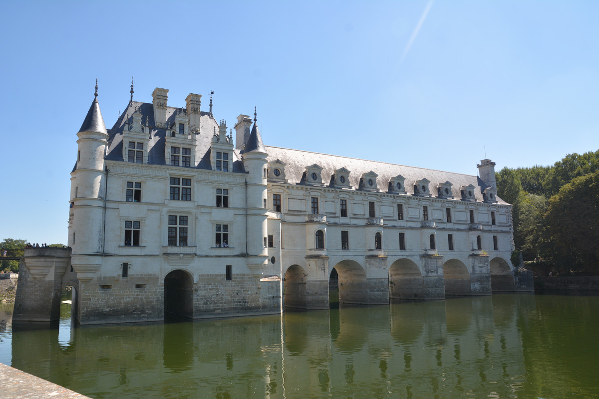 10.58 - DSC_8507 (Ater)