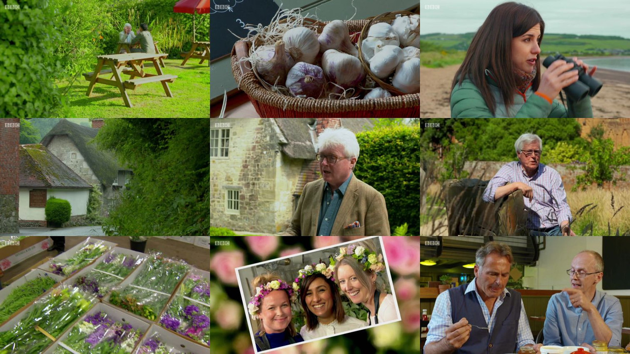 08681483628928717530