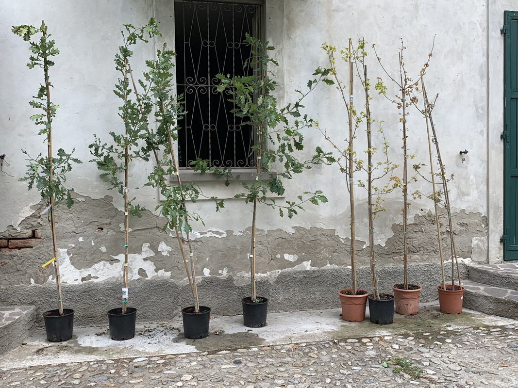 2C377AE4-EC4E-4609-AF85-98B49EC3D43E