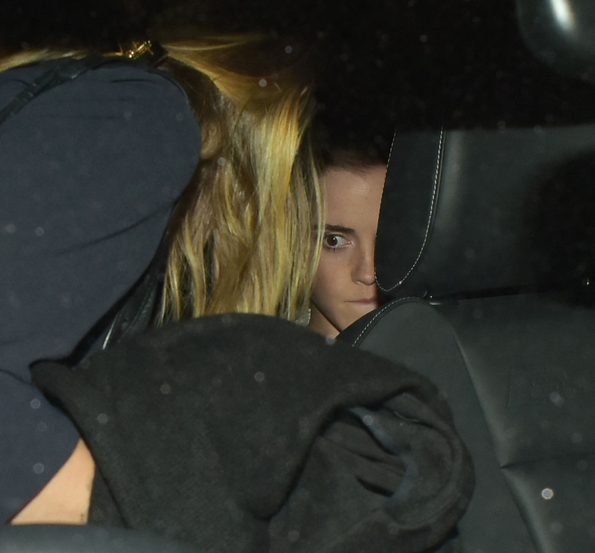 watsonuncensored.blogspot.com (65)