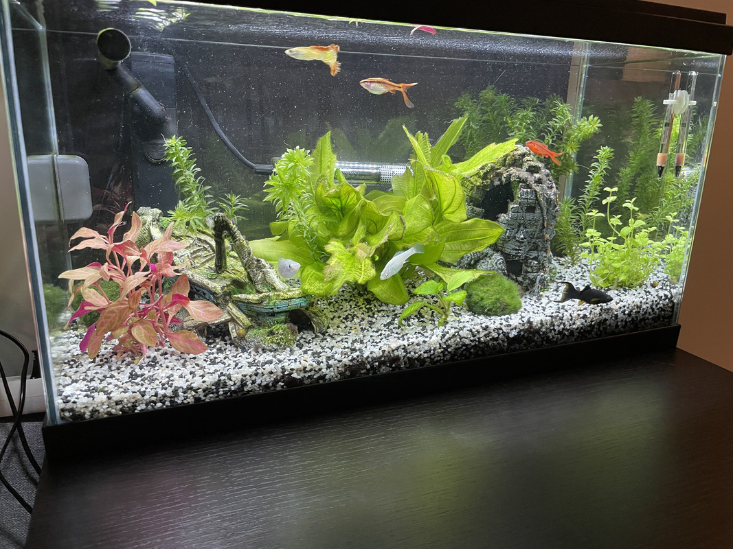 207B5DE2-90BC-46B3-AA41-FBCD5C825C04