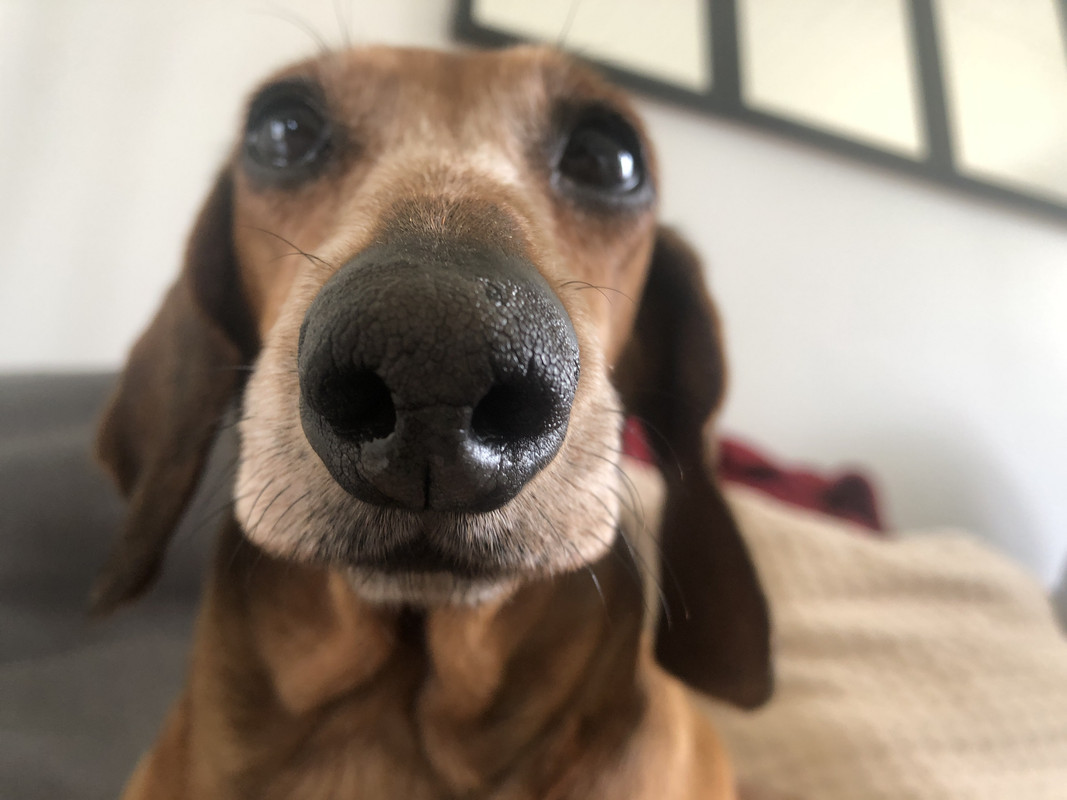 [Image: IMG-3181.jpg]