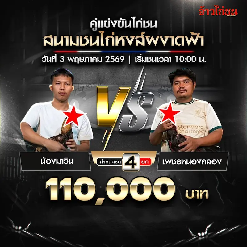 โปรแกรมไก่ชน สนามชนไก่หงส์ผงาดฟ้า วันที่ 3 พฤษภาคม 2569 น้องมาวิน พบ เพชรหนองคลอง