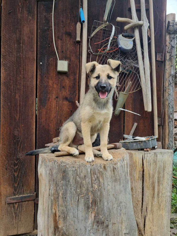 IMG-fad8305f7c80461048248314271f3493-V