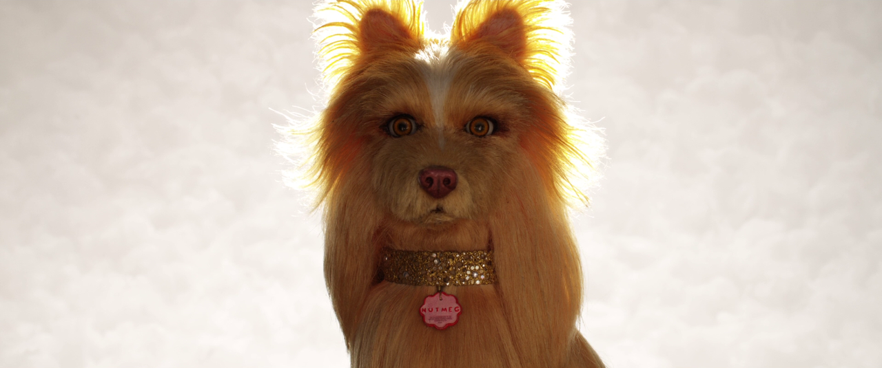 vlcsnap-2023-12-24-14h53m33s746