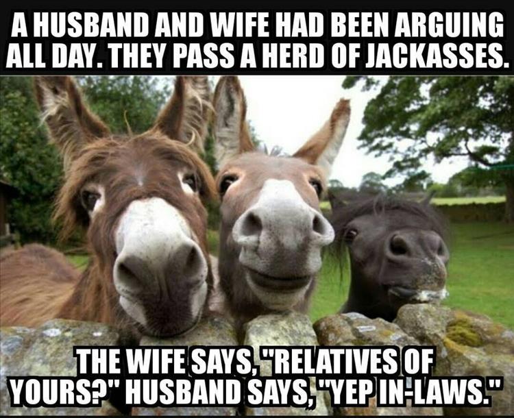 funny-husband-and-wife.jpg
