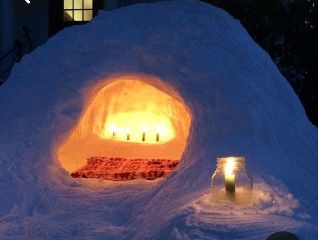 Screenshot_20231111_133446_Pinterest