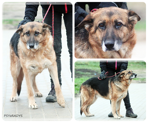 BeFunky-collage (28)