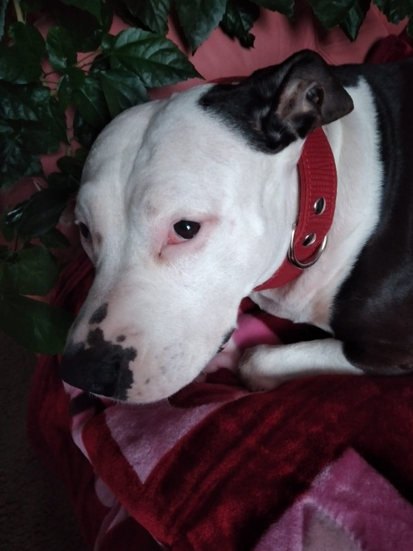 24E9CABE-FE07-41E5-919A-6676802F6005