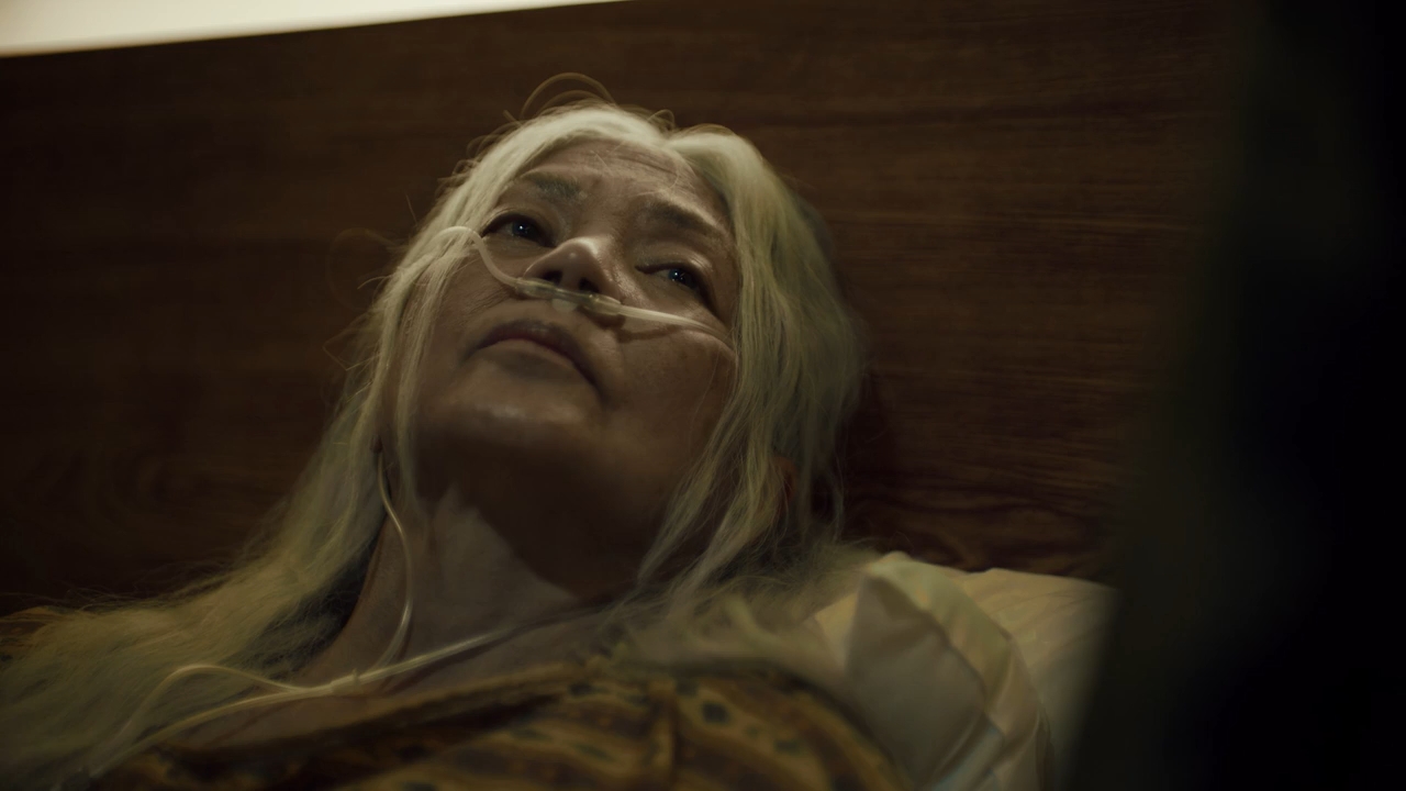 The Time That Remains 2025 WebRip [Hindi + English] 480p 720p ESub Screenshot
