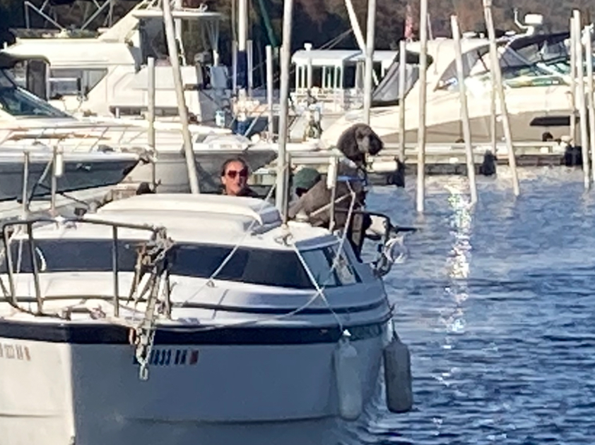 770AD33E-E570-466D-B579-322BABFAACD3