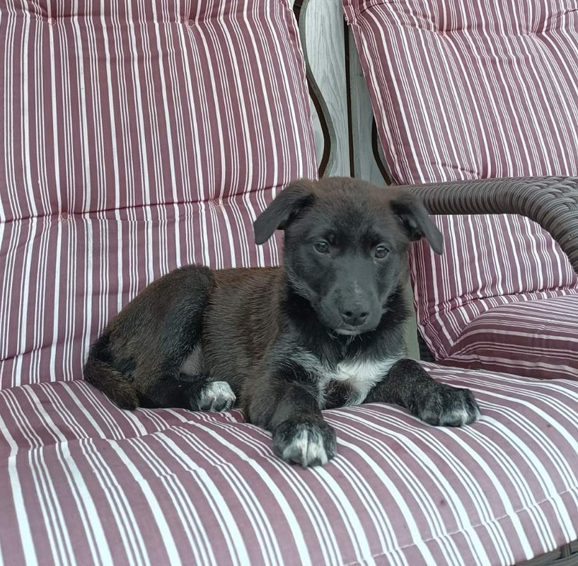 IMG-dfc266a08bfad1ba06d1a9ee254e13e3-V-1