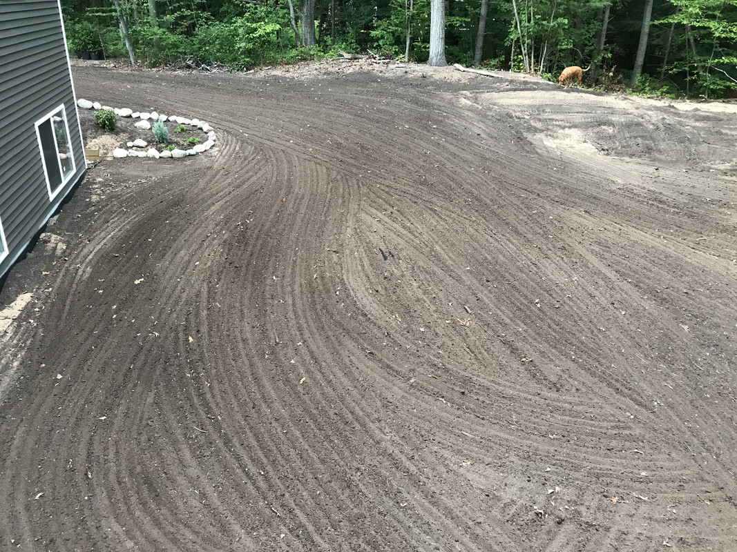 447F4E6F-EC68-4D11-9366-749FE6C58577