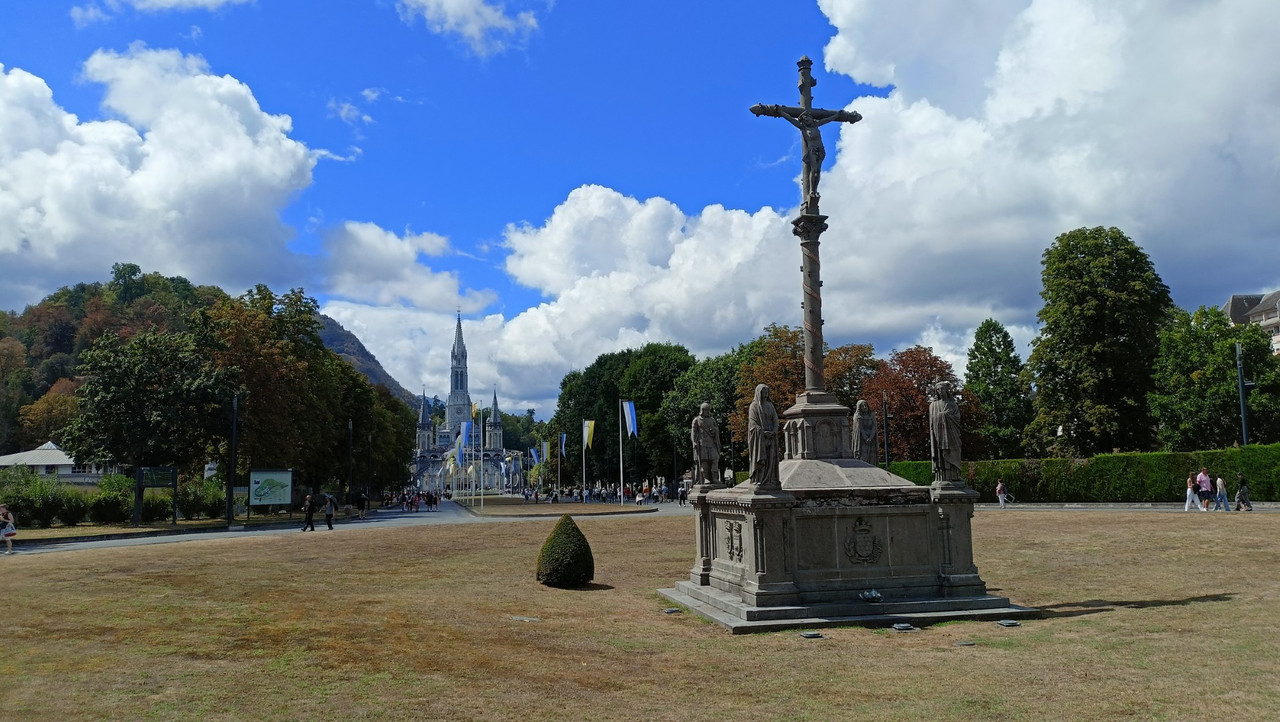 IMG20250820144711 (Large)